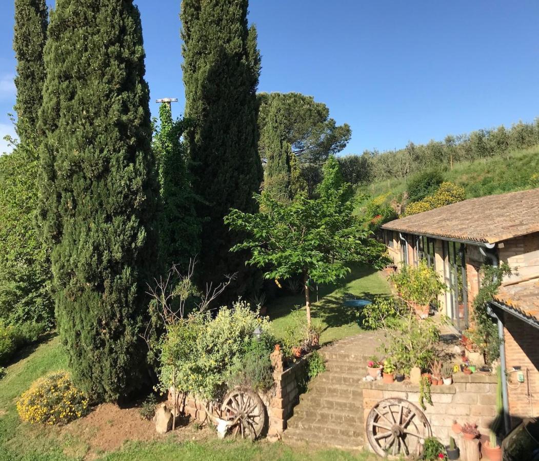 Podere Porcino Civitella d'Agliano Exterior photo