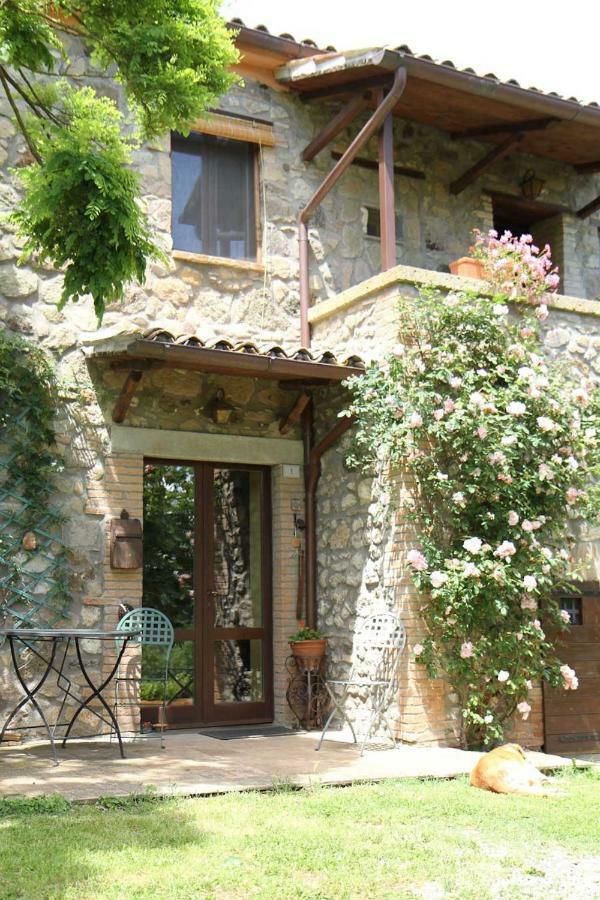 Podere Porcino Civitella d'Agliano Exterior photo