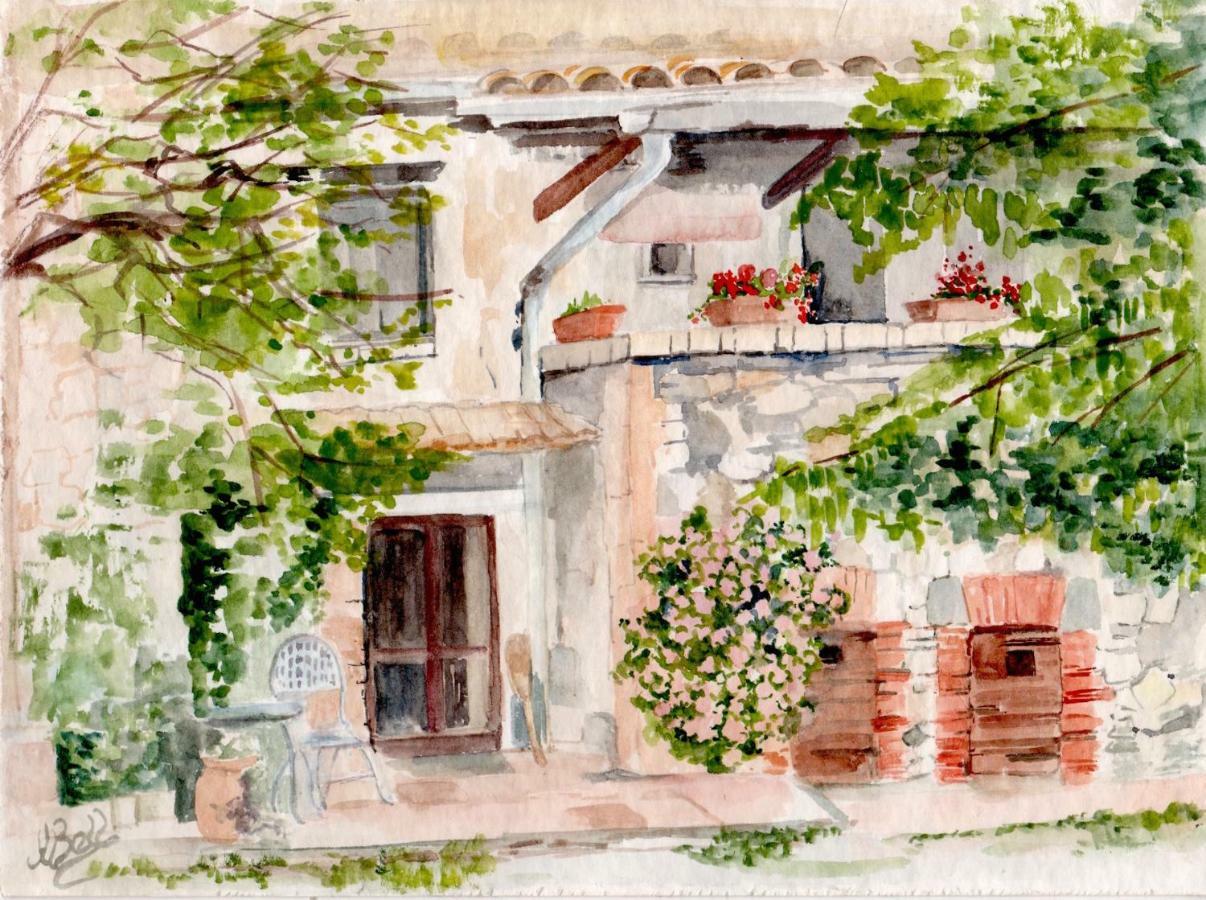 Podere Porcino Civitella d'Agliano Exterior photo
