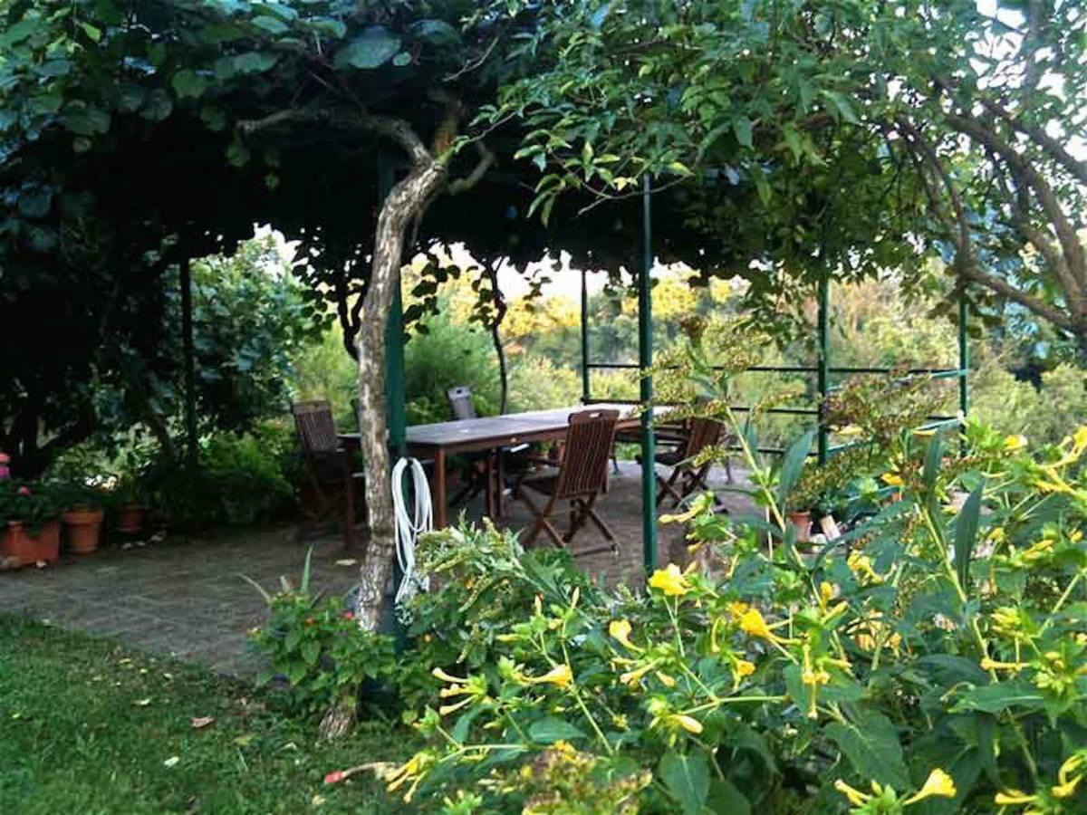 Podere Porcino Civitella d'Agliano Exterior photo